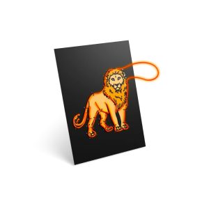 Kidyneon illuminated wall decoration kit